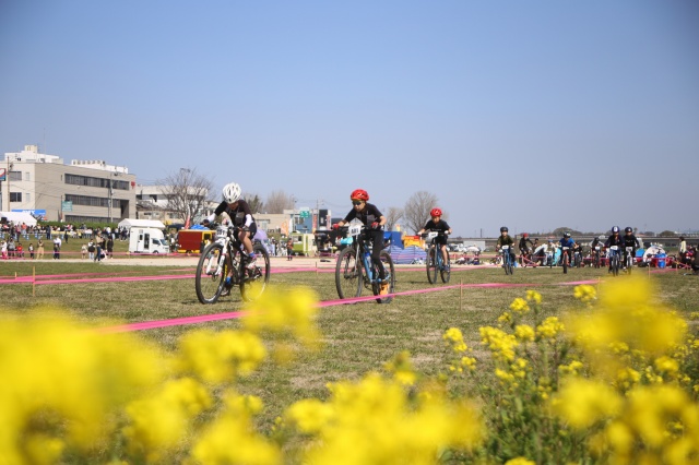 暖かな春の日に、自転車は気持ちいい