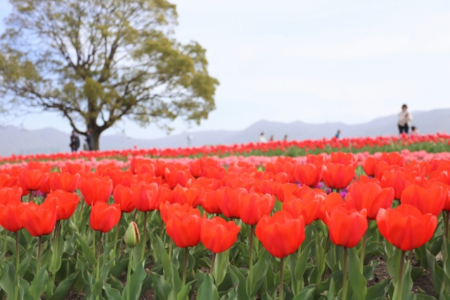 フェア会場の様子