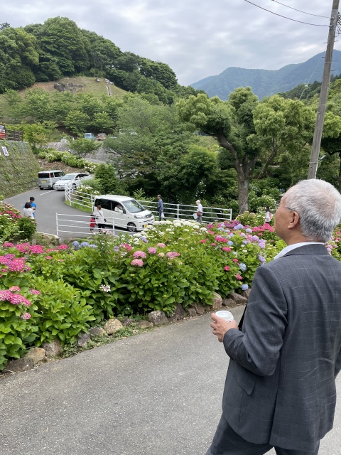 あじさいを眺める市長