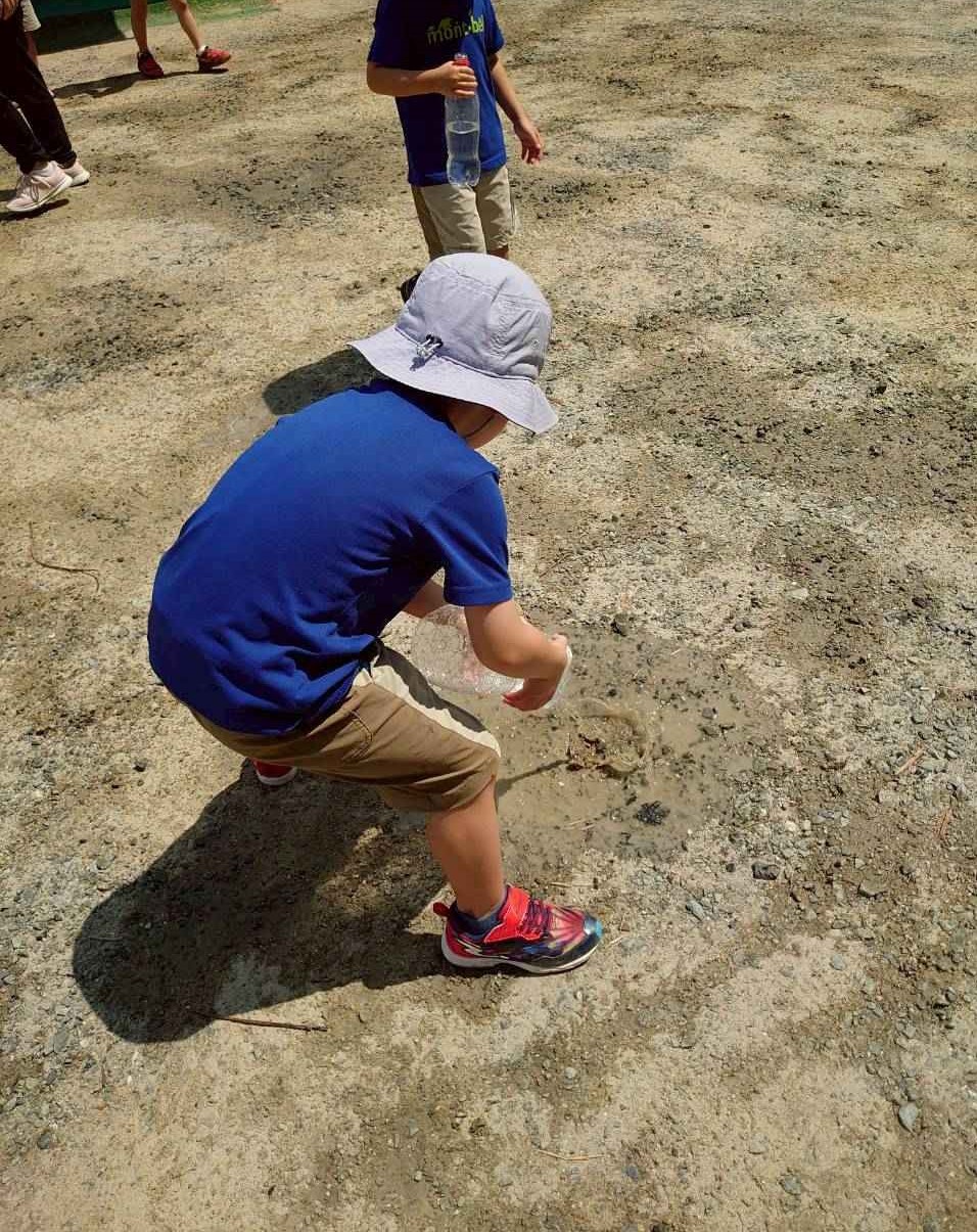 清光寺幼稚園打ち水大作戦の様子 清光寺幼稚園打ち水大作戦の様子