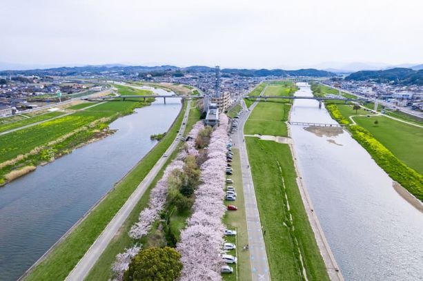 河川敷の写真