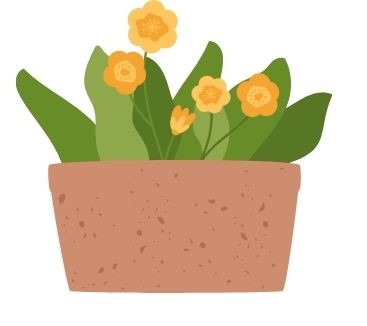 花の寄せ植え画像