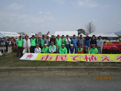 チューリップフェアーの写真