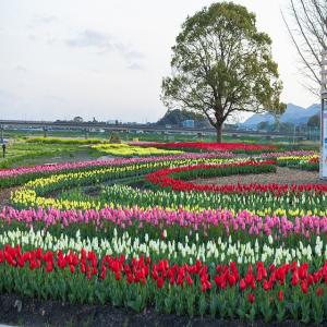 目が不自由な人のために、掲載する画像の説明を記載してください。